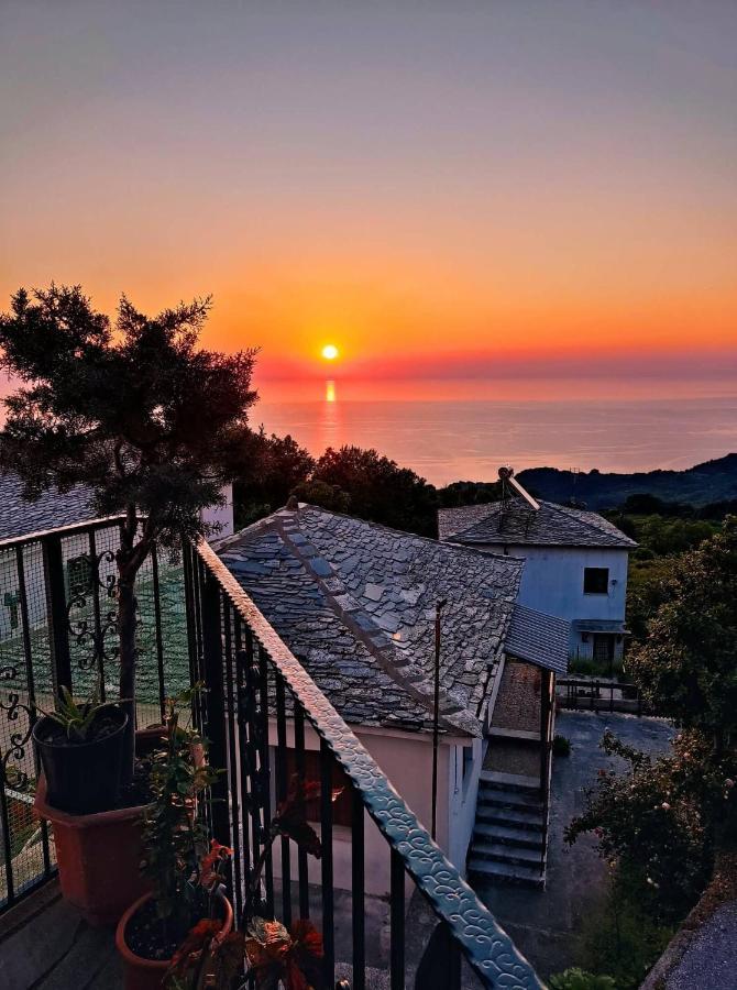 Guesthouse Papagiannopoulou Zagora Exteriér fotografie