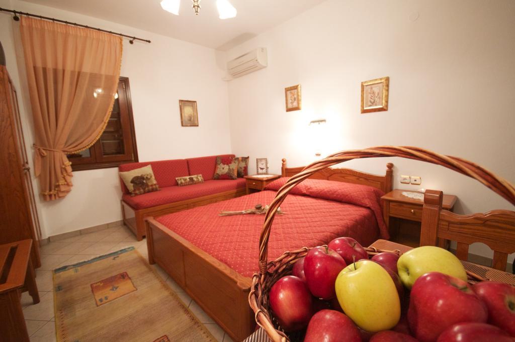 Guesthouse Papagiannopoulou Zagora Pokoj fotografie