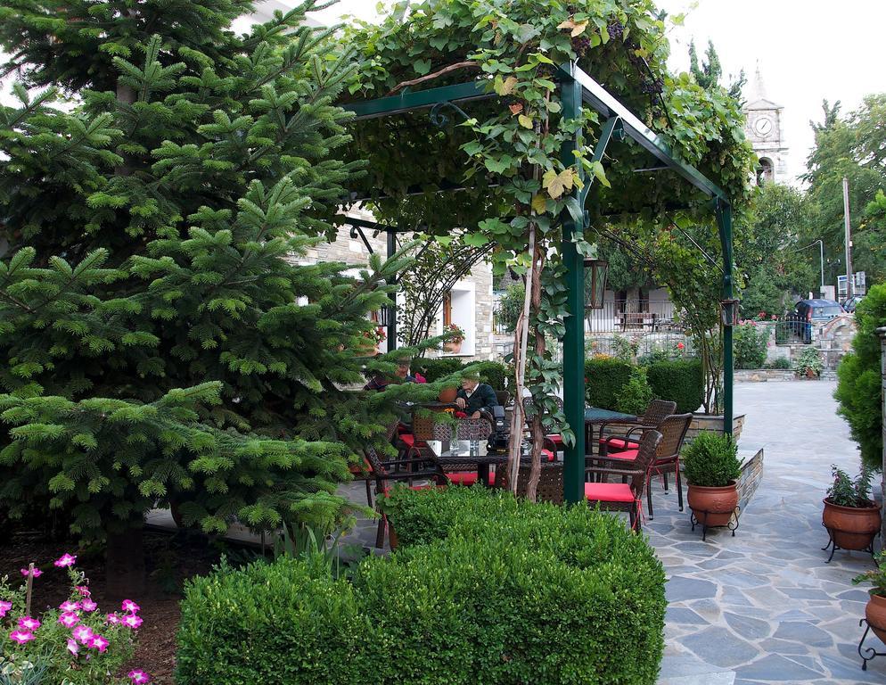 Guesthouse Papagiannopoulou Zagora Exteriér fotografie